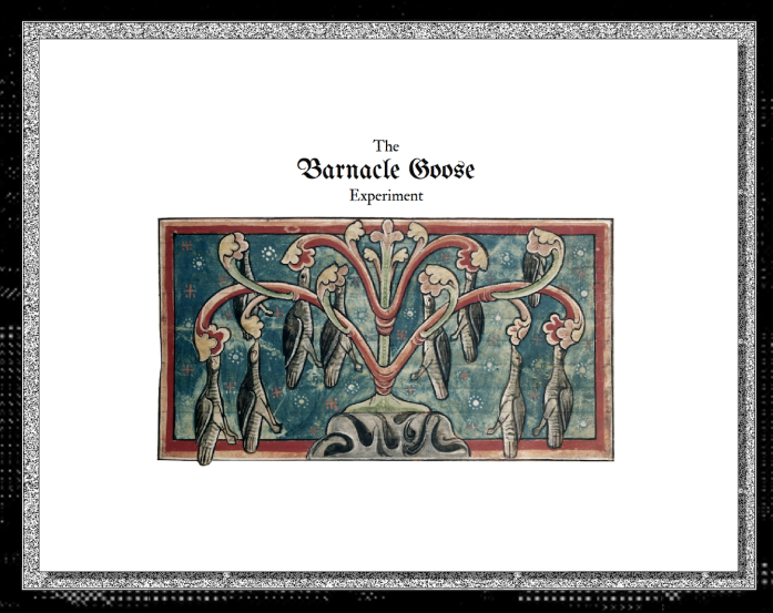 Barnacle Goose Experiment